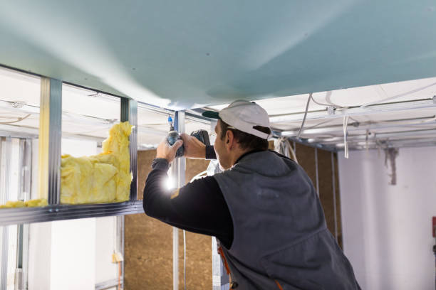 Best Residential Insulation in Ina, IL